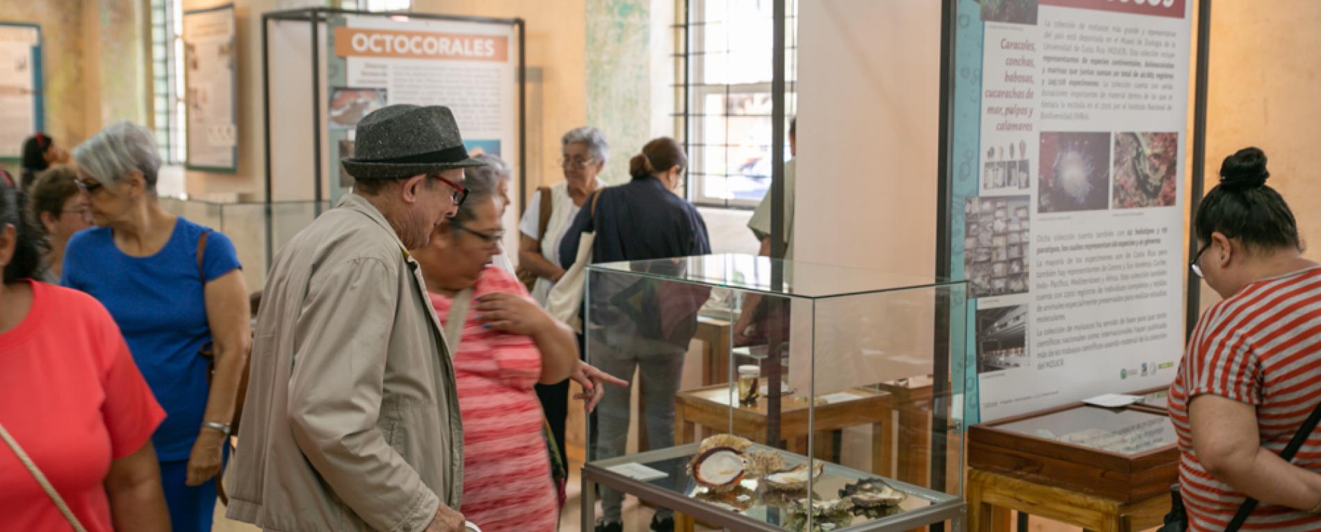 Museo de Zoología presenta sus colecciones en San Ramón 