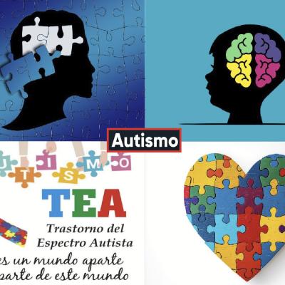 El perfil lingüístico y comunicativo de una serie de personas con autismo