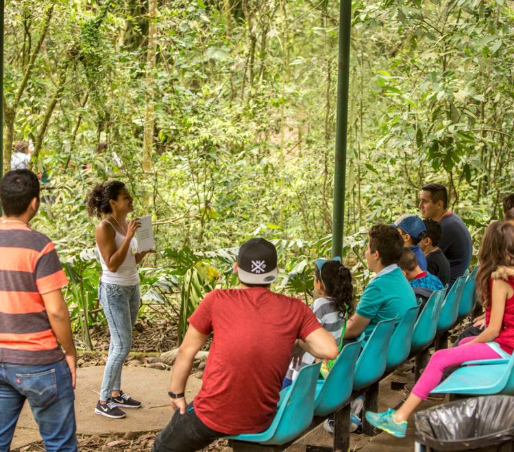 Bosque Demostrativo de la Sede de Occidente