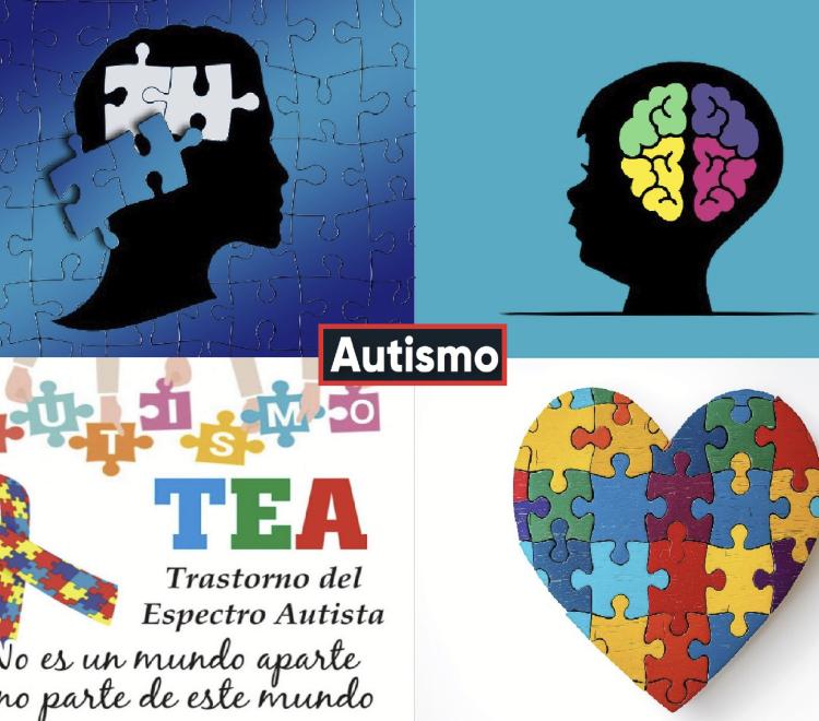 El perfil lingüístico y comunicativo de una serie de personas con autismo