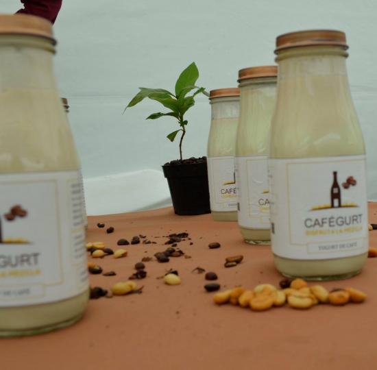 Cafégurt representará a la Sede en Generación E